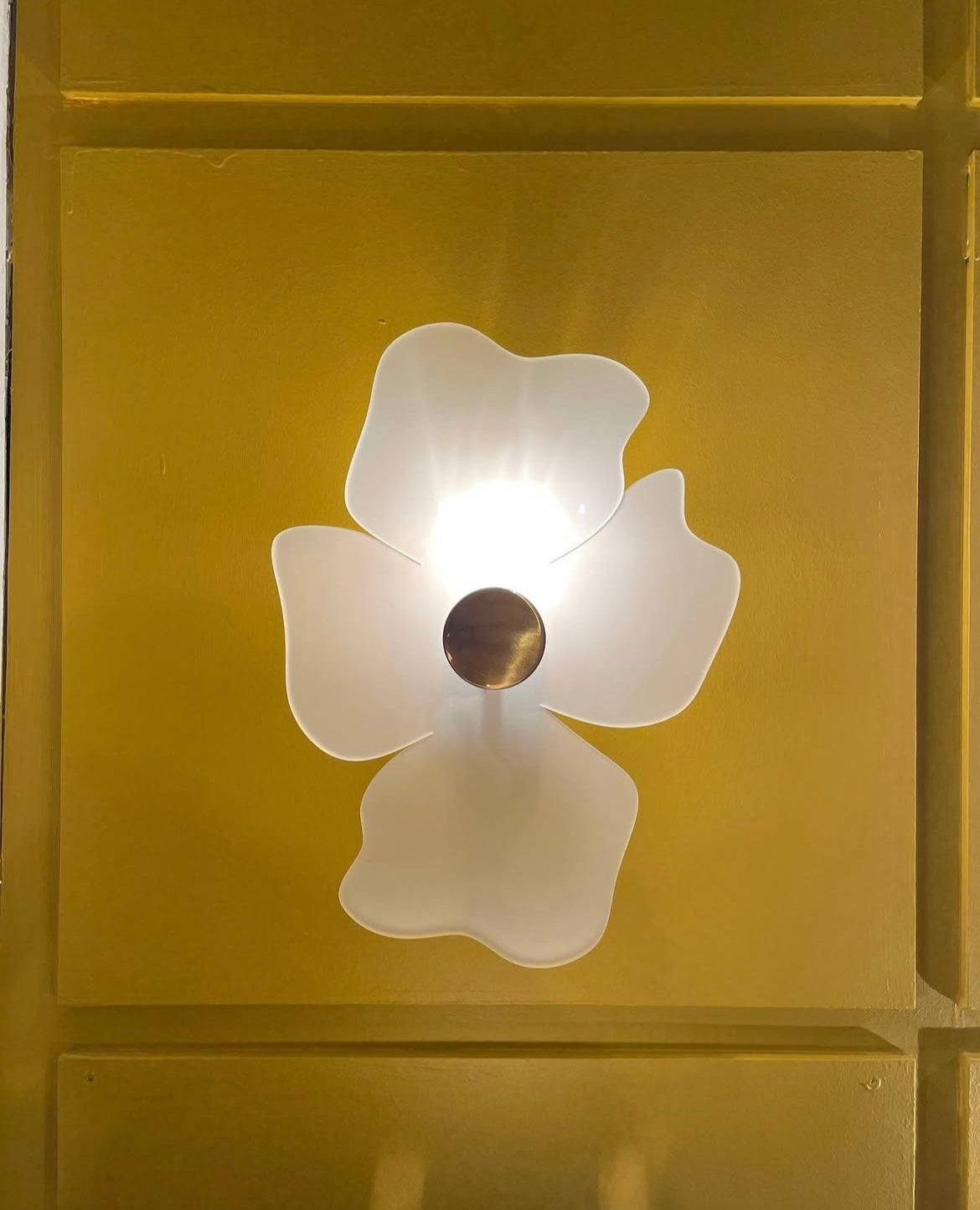 CAMELIA WALL