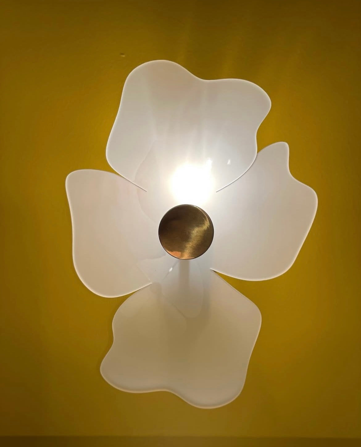 CAMELIA WALL