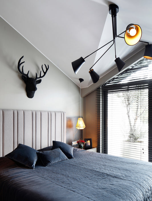 House Projects - Esra Kazmirci